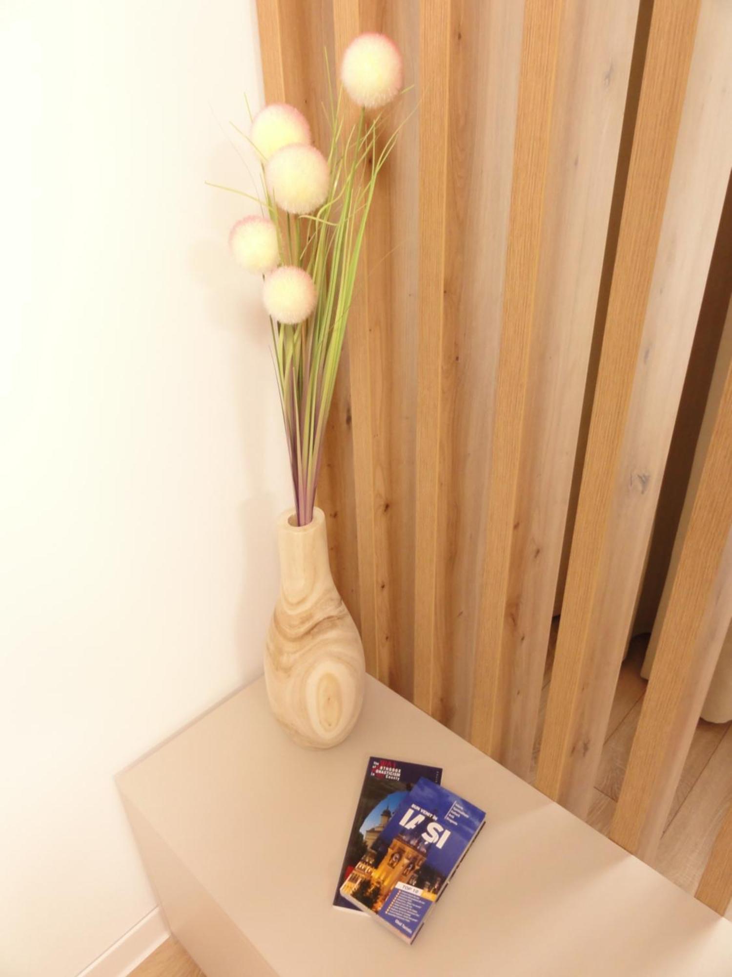 Central Luxury Apartment Iasi Exterior photo